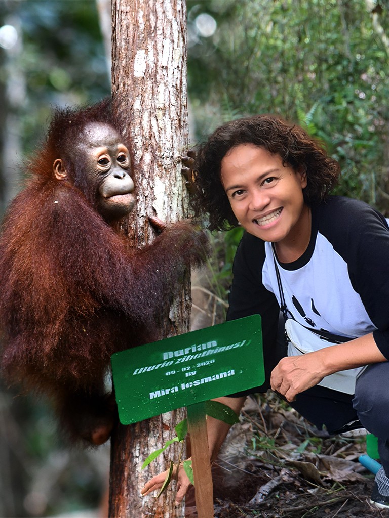Borneo Orangutan Survival Foundation
