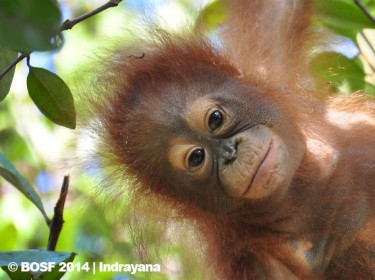 RURU’S FIRST STEP TOWARDS RETURNING TO FREEDOM