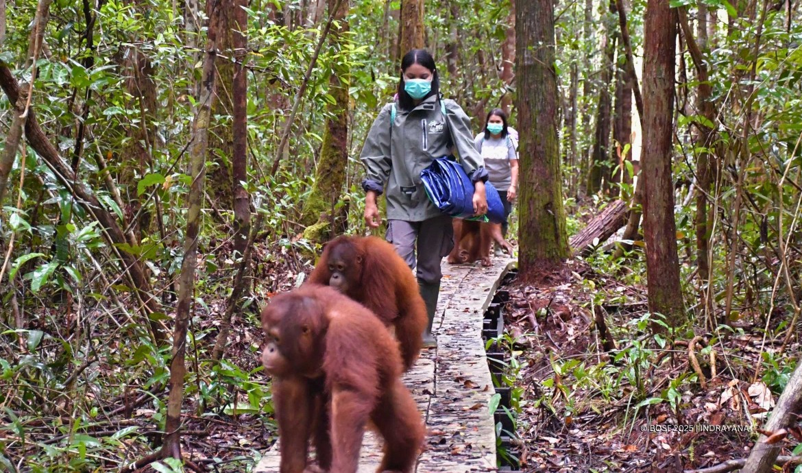 RELOCATION A STEP TOWARDS BETTER CONSERVATION
